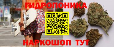 СК Кандалакша